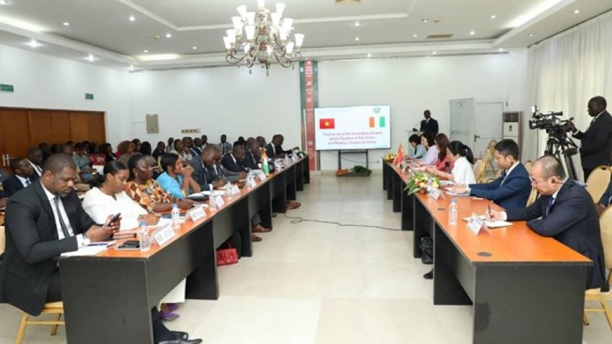 Vietnam treasures multifaceted cooperation with Côte d'Ivoire: Deputy FM